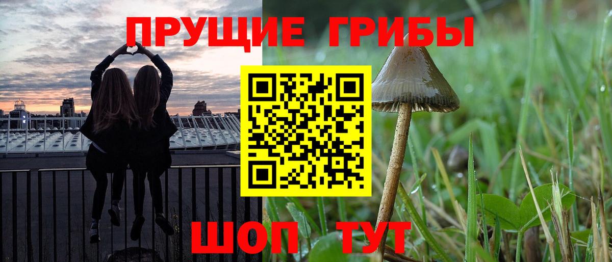 Псилоцибиновые грибы мицелий Морозовск
